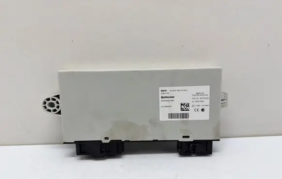 BMW X3 F25 CAS control unit/module 9359013