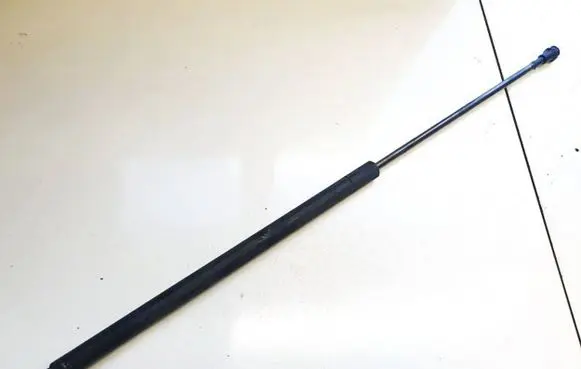 Tailgate/trunk strut/damper