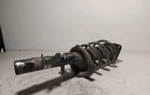 Ford C-MAX I Front shock absorber/damper AGG123MT