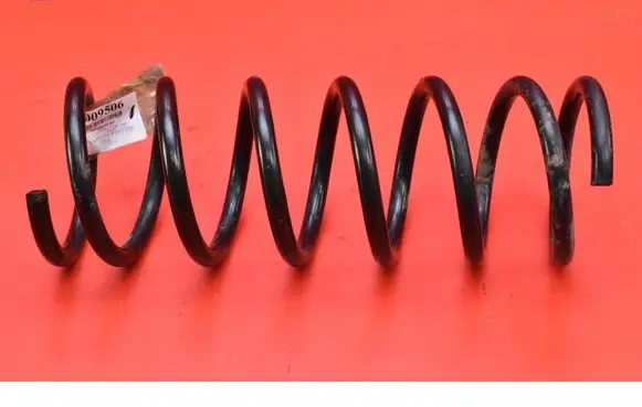 Rear coil spring