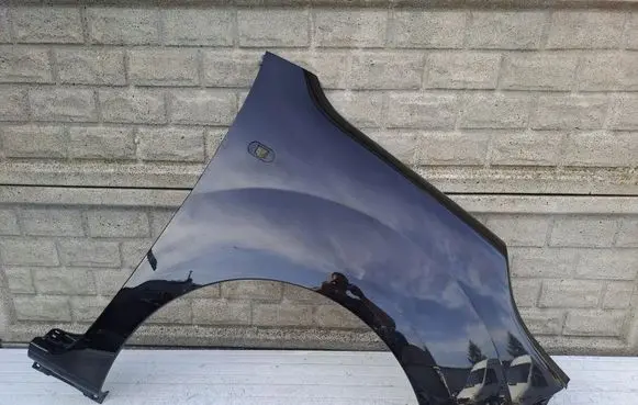 Renault Kangoo II Front wheel arch liner splash guards pprenkgoolif