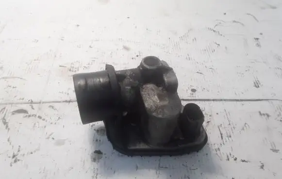 Renault Megane II Throttle valve 8200302798F