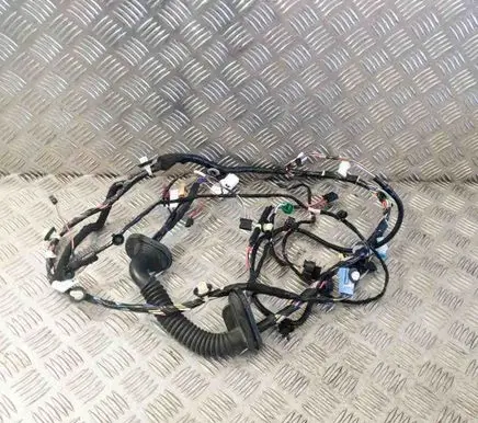 Tesla Model 3 Front door wiring loom 106795700E 109869700B