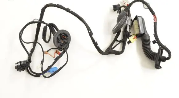 Volkswagen Golf V Front door wiring loom 80A971029D