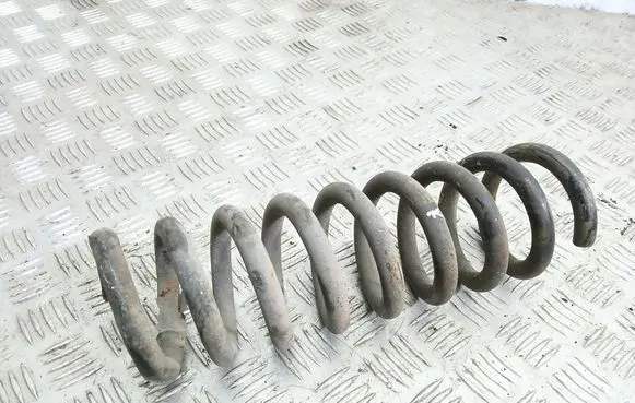 Rear coil spring