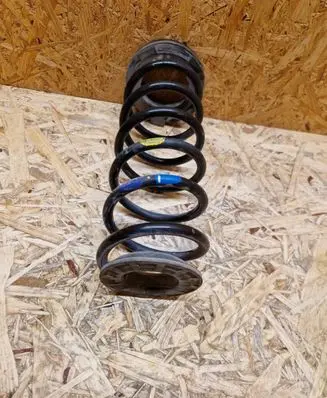 Rear coil spring