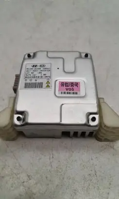 Hyundai Santa Fe Other control units/modules 951002W300