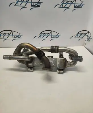 Seat Alhambra (Mk2) EGR valve cooler BH0038131513C