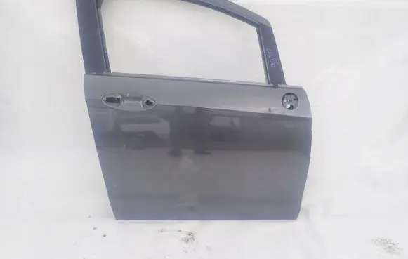 Ford B-MAX Front door