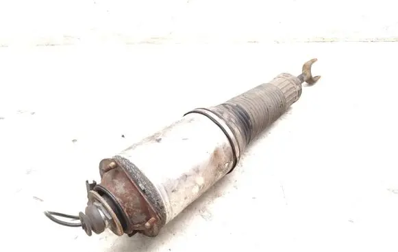 Audi A8 S8 D3 4E Air suspension front shock absorber 