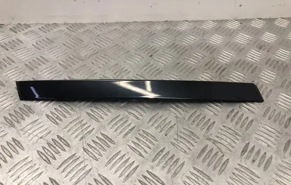 Other rear door trim element