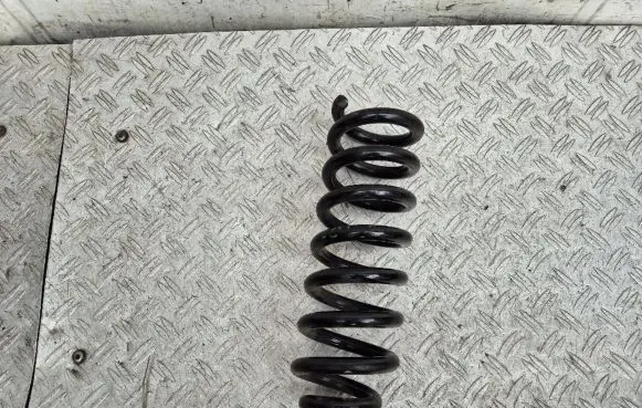 Rear coil spring