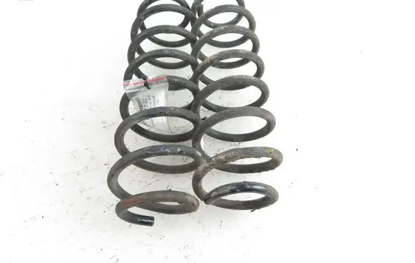 Rear coil spring