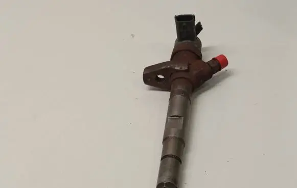 KIA Sorento Fuel injector 0445110092 338004A000