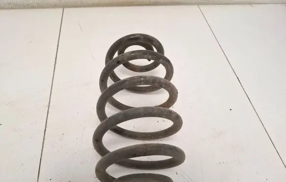 Rear coil spring