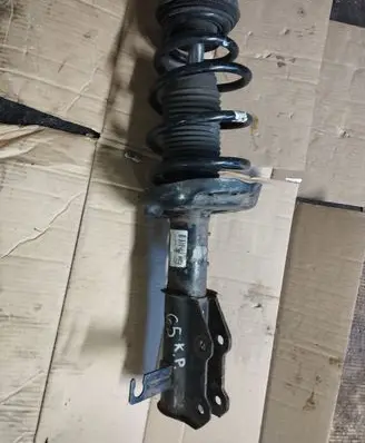Opel Insignia A Front shock absorber with coil spring