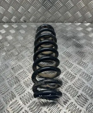 Rear coil spring