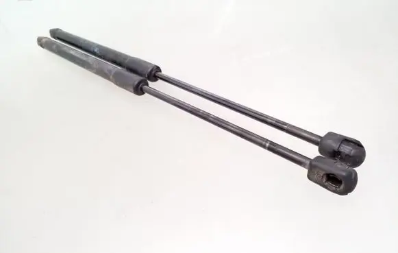 Renault Megane III Tailgate/trunk strut/damper 844300009R