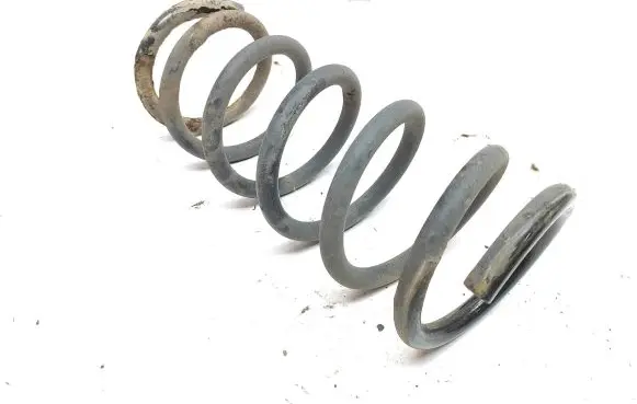 Opel Antara Rear coil spring