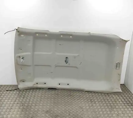 Jeep Compass Headlining 012031315AA