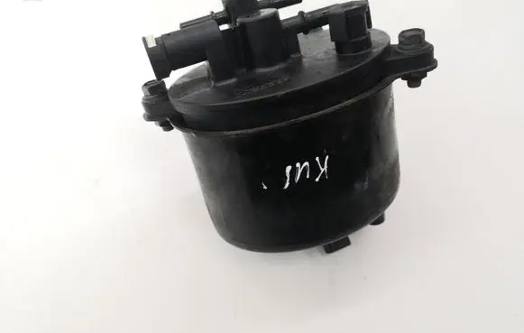 Peugeot 4007 Fuel filter 