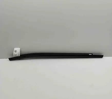 BMW iX Rear door glass trim molding 8491347