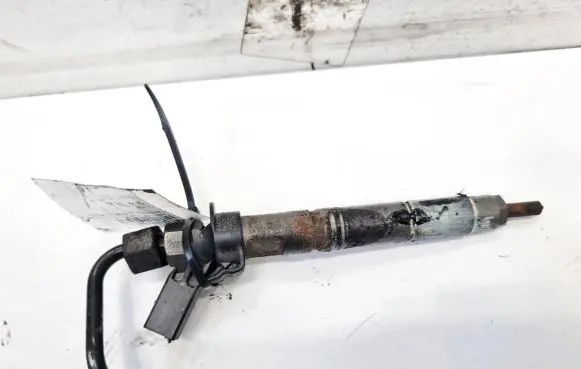 Mercedes-Benz R W251 Fuel injector 0445115