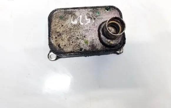 Skoda Superb B6 (3T) Engine oil radiator 06J117021L