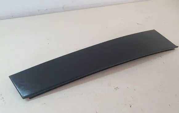 Volvo S40 Rear door glass trim molding 31213306