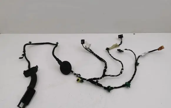 Volkswagen T-Roc Front door wiring loom 2GB971121AN