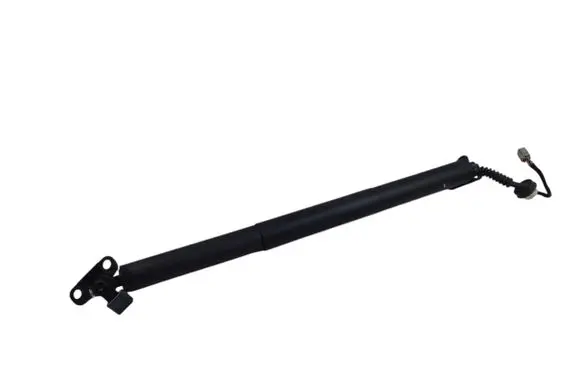 Tailgate/trunk strut/damper