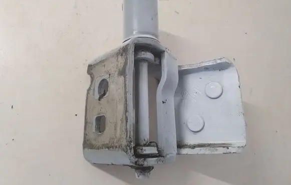 Renault Clio III Rear door lower hinge