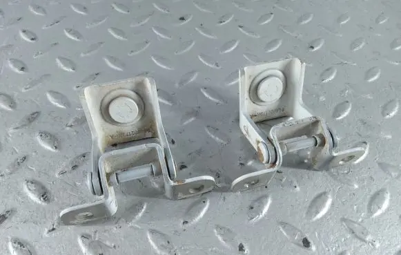 Dacia Sandero III Tailgate/trunk/boot hinge 844002173R