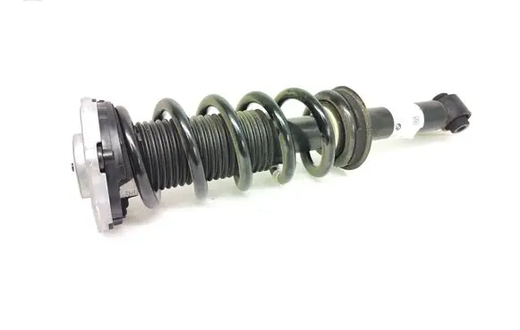 BMW X4 G02 Rear shock absorber with coil spring 6890945 16997810 814903016530