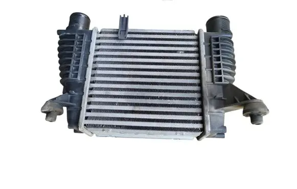 Nissan Juke I F15 Intercooler radiator 14461EM00A