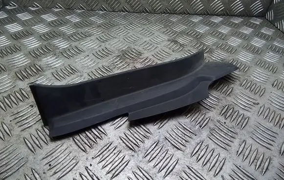 Rear/tail light trim molding