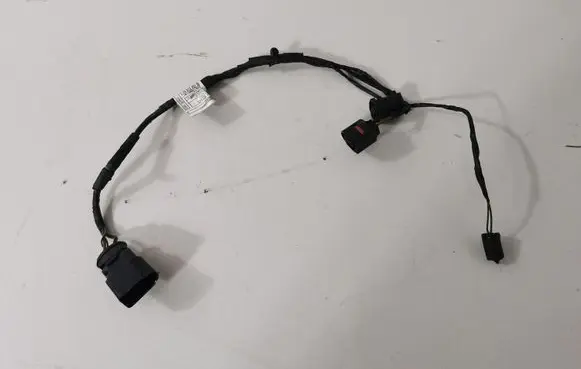 BMW X6 E71 Other wiring loom 9184810