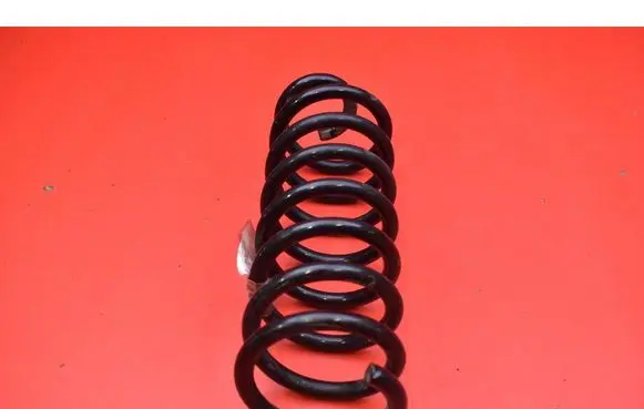 Dacia Sandero Rear coil spring 