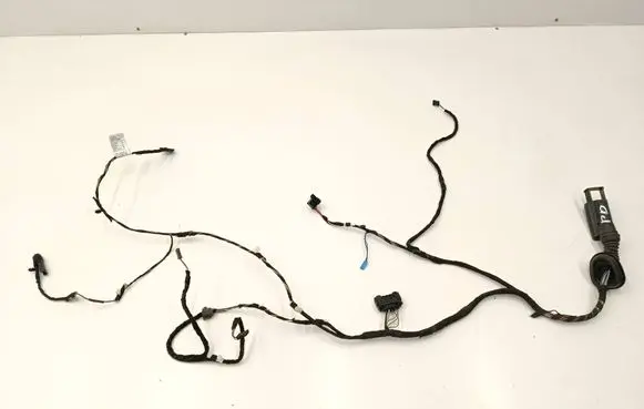 Front door wiring loom