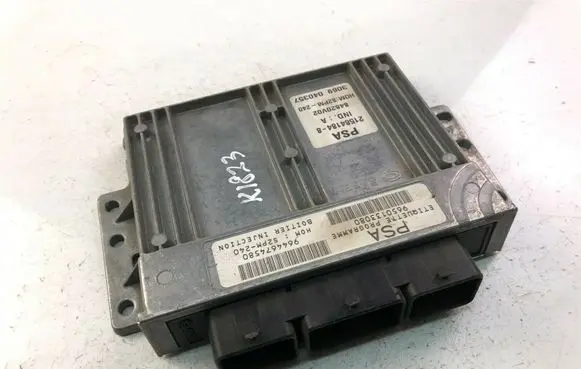 Citroen C5 Other control units/modules 9650133080 K1823