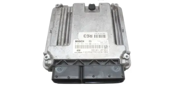 Hyundai Santa Fe Engine control unit/module 391012F351 0281031664