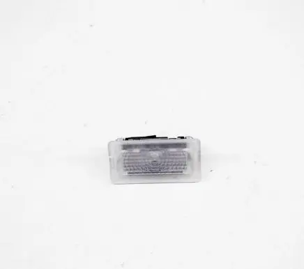 Tesla Model X Front seat light 100715170E