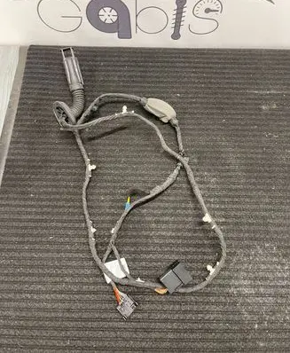 Rear door wiring loom