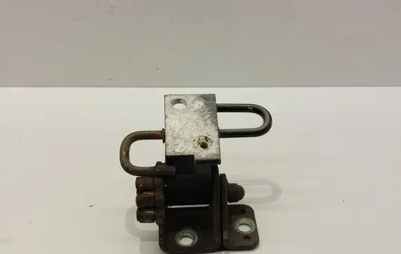 Volkswagen PASSAT B6 Front door lower hinge 3C8831412A