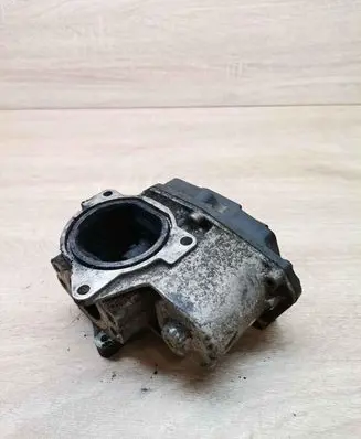 Volkswagen Tiguan EGR valve 03G131501 216035358