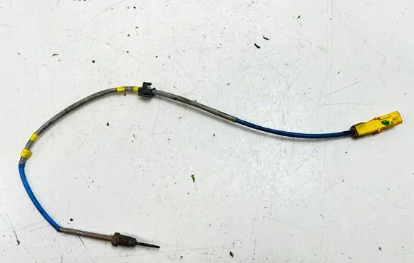 Renault Laguna III Exhaust gas temperature sensor 8200941746