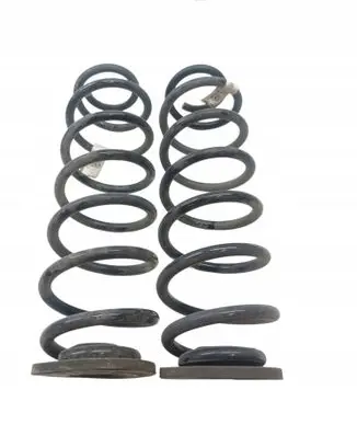 Rear coil spring