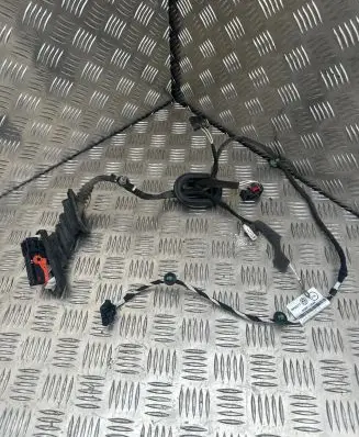 Front door wiring loom