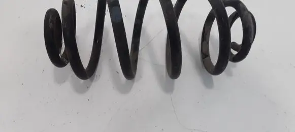Volkswagen PASSAT B5.5 Rear coil spring