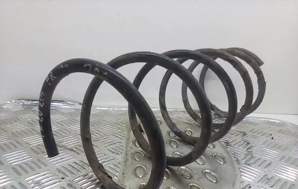 Peugeot 206 Front coil spring